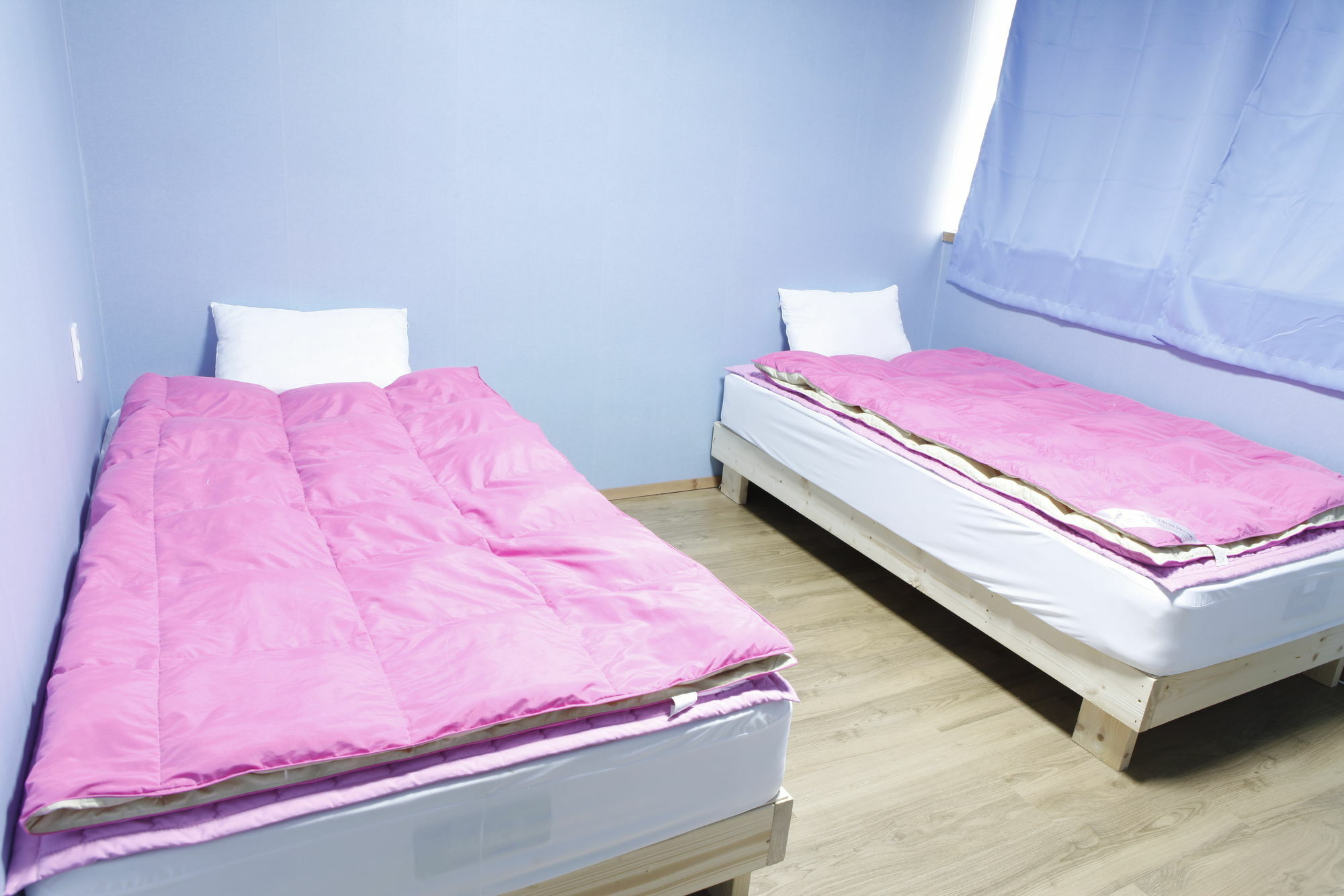 Baozen Guesthouse Jeju Bagian luar foto